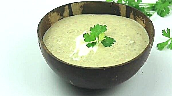 ताजा शैंपेन के साथ आहार मशरूम का सूप कैसे पकाने के लिए: एक तस्वीर के साथ कदम नुस्खा द्वारा एक सरल और स्वादिष्ट कदम