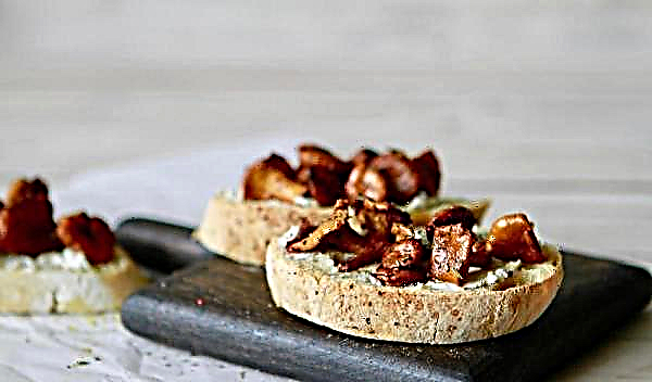 Chanterelles nasıl pişirilir: hızlı ve lezzetli, yemek tarifleri, diyet yemekleri