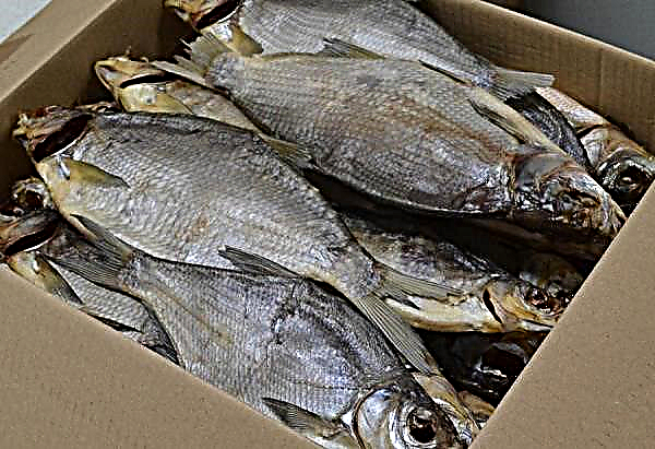 Sun-dried bream: how to wilt at home in the summer, the easiest recipe and method of salting, how many days to salt and dry, a description of the taste of meat