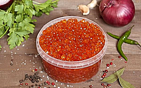 Wie man Lachskaviar zu Hause salzt, ist lecker und schnell: Schritt-für-Schritt-Rezepte mit Fotos, wie lange es dauert, Kaviar zu salzen