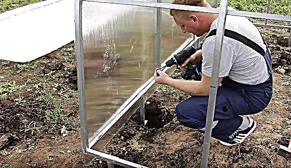 Instalación de la base de un invernadero de policarbonato y vidrio en pilotes o barras de tornillo, revisiones