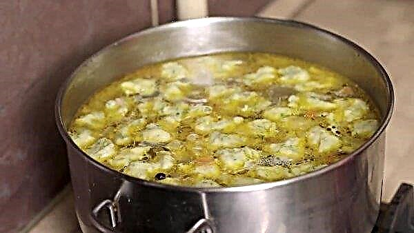 كيفية طهي حساء الفطر اللذيذ من فطر بورسيني المجمد ، وصفة بسيطة خطوة بخطوة مع صورة