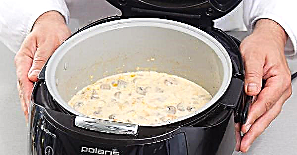 Champignons in Sahne: Wie man in einer Pfanne, im Ofen und im Slow Cooker kocht, ein einfaches Schritt-für-Schritt-Rezept zum Kochen mit einem Foto