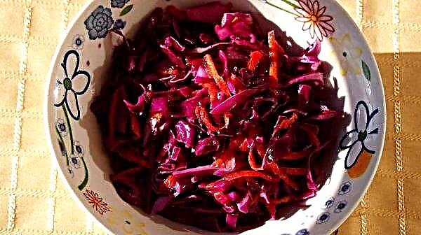 How to pickle red cabbage: with beets, peppers, the best recipes