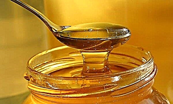 Zloženie medu: vitamíny, minerály, normy použitia