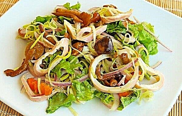 Salata od kiselih gljiva: jednostavni i ukusni recepti