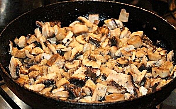 Comment faire cuire des champignons frits avec des oignons, une recette simple pour la cuisson et des calories pour 100 g