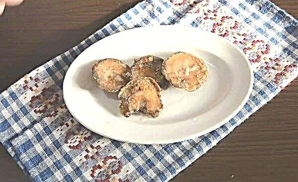 How to cook fried mushrooms, how much time to fry and how to fry with onions