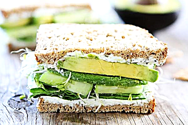 4 avocado sandwiches for your breakfast or snack