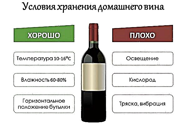 النبيذ من أوراق العنب في المنزل: وصفات بسيطة