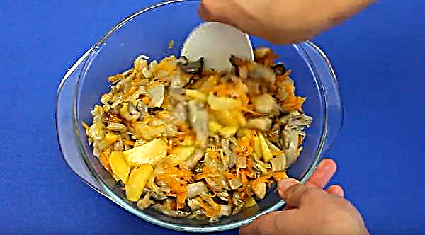 Austernpilze mit Bratkartoffeln: Wie man ein Gericht mit Zwiebeln, in saurer Sahne, Rezepten mit Fotos, Schritt für Schritt kocht