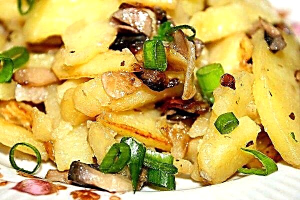Gebakken aardappelen met champignons: een recept om te koken met uien, caloriegerechten