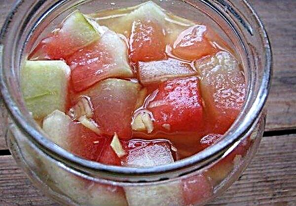 Pečene lubenice za zimo: najboljši recepti za zajede s fotografijami, lastnosti shranjevanja