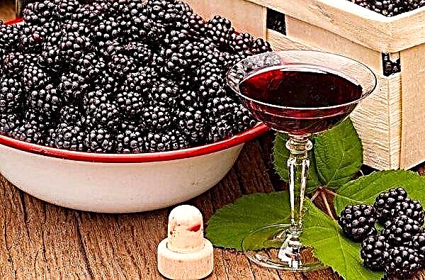 密造酒を注ぐブラックベリー：自宅でブラックベリーの枝からチンキのレシピ