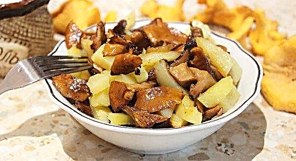 Stewed potato with chanterelle mushrooms, step by step recipe with photo