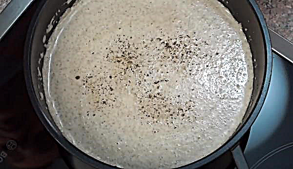 Comment faire cuire une soupe de champignon fraîche à la crème, une recette avec des photos étape par étape