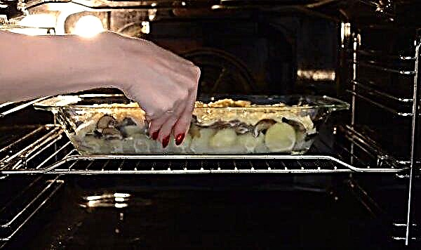Cazuela con champiñones, papas y queso: las recetas más deliciosas, cocinando con fotos