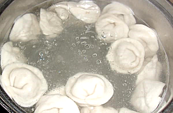 Chum dumplings: Sahalinin resepti, kuinka tehdä mehukas jauheliha ja kuinka paljon keitä