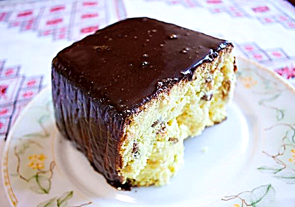 Lviv cheesecake - the perfect New Year dessert!