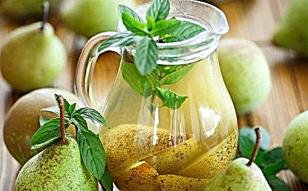 Stewed pears: the best recipes for winter preparations, storage methods