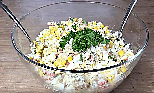 Wie man einen Salat mit frischen Champignons, einfachen und leckeren Rezepten, Fotos kocht