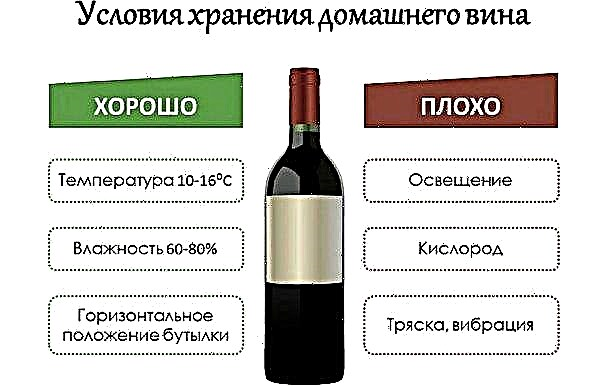Wine from Kishmish grapes at home: a step by step recipe
