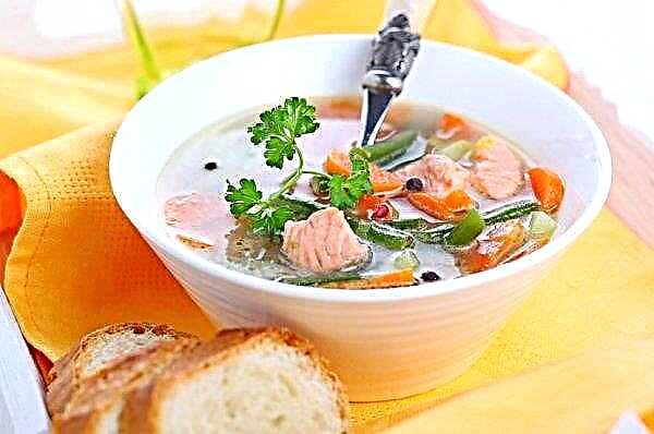 Soupe de saumon rose au millet: recettes étape par étape avec des photos sur la façon de cuisiner la soupe de poisson à partir de poisson en conserve ou frais avec des pommes de terre, de la tête et de la queue