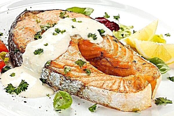 Cara memasak steak salmon chum: daging ikan dalam wajan, cara memasak salmon lezat yang lezat dan lembut di dalam oven, memanggang dengan foto