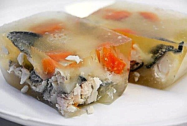Filet de saumon rose à la gélatine: recettes étape par étape avec photos, comment faire cuire la gelée de poisson dans une mijoteuse