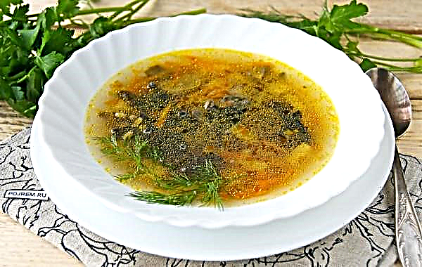 Comment faire cuire une soupe de champignon surgelée avec des pommes de terre, une recette étape par étape avec des photos