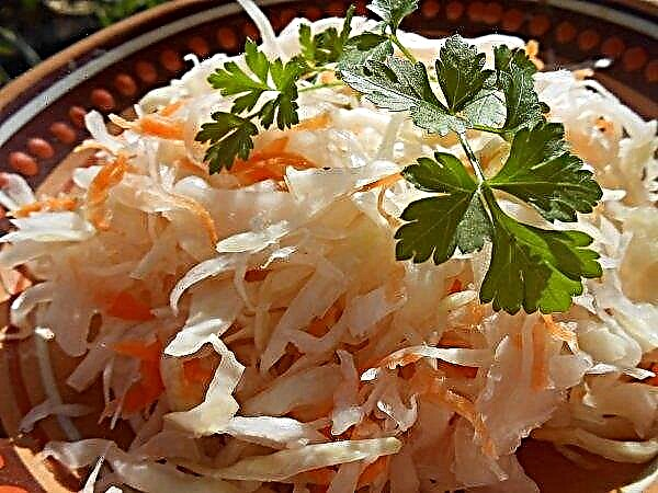 Sauerkraut without salt: the best recipes for workpieces with photos, storage rules