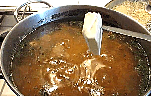 Грибний суп зі свіжого, сушеного, замороженого підосичники, смачні рецепти