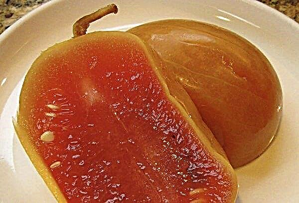 تمليح البطيخ في برميل بالكامل في محلول ملحي: أفضل الوصفات والطرق