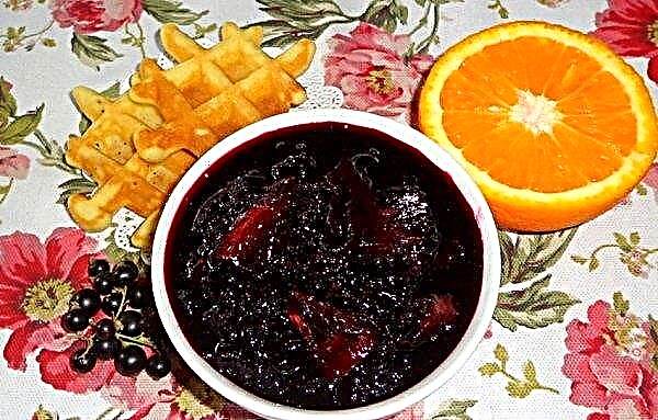 Een eenvoudig recept voor zwarte bessenjam met sinaasappel voor de winter