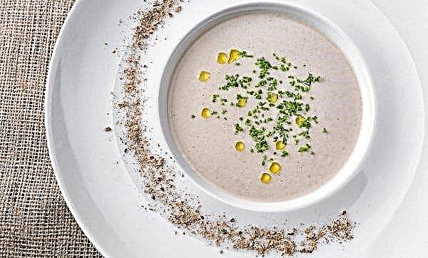 Hur man gör läcker krämig soppa med porcini svamp, ett enkelt steg för steg recept