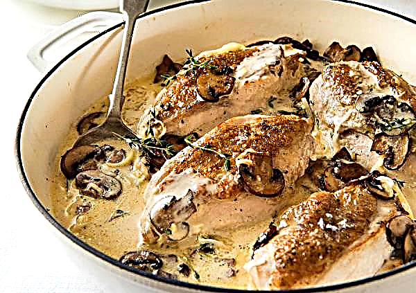 Filet de poulet aux champignons dans une sauce crémeuse: au four, ragoût