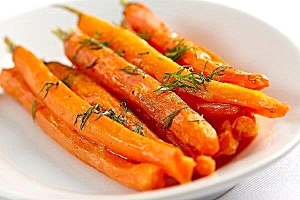 Cuántas zanahorias se digieren: crudas y hervidas, los beneficios y los daños del producto.