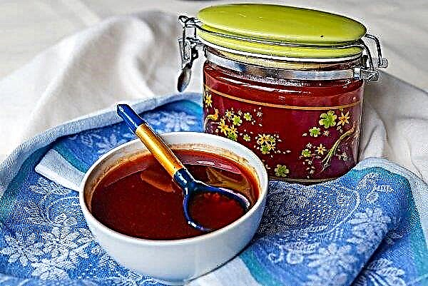 Miel de sandía Nardek: propiedades útiles, receta casera