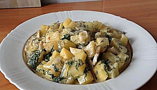 Stegt kartofler med svampe og løg: opskrifter, kalorier