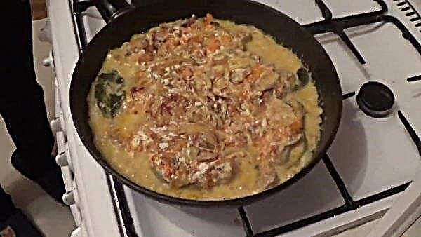 Pink salmon in sour cream with carrots and onions, in a pan: how to cook pink salmon with vegetables so that it is juicy; recipe with photo