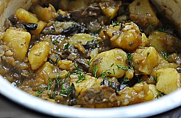 Casca de bétula assada com batatas: como cozinhar, quanto cozinhar antes de fritar, com cebola