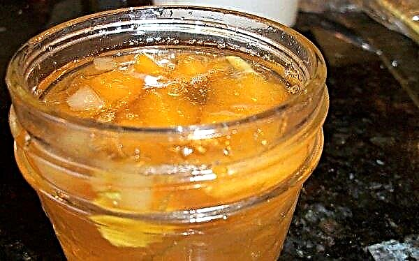 Melon jam with apples for the winter: simple recipes for preparations, storage methods