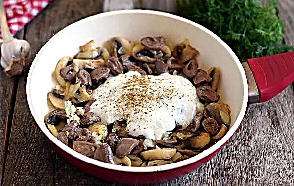 Chicken hearts with mushrooms in sour cream sauce, a simple step by step cooking recipe with photo
