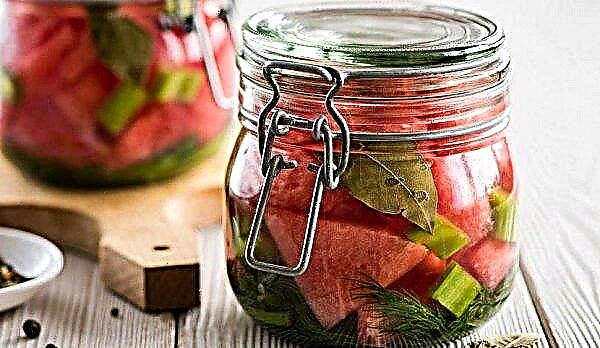 Watermeloenen in eigen sap voor de winter in banken: stapsgewijze recepten voor bereidingen, bewaarfuncties
