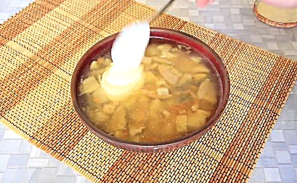 Comment faire cuire la soupe de cèpes frais, une recette simple étape par étape classique avec des photos