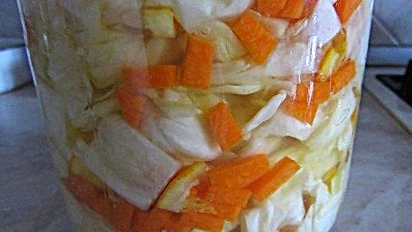 Sauerkraut dengan labu: resipi lazat untuk musim sejuk, peraturan penyimpanan