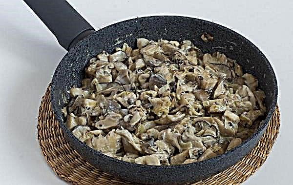 Cogumelos ostra fritos com cebola em creme de leite, como cozinhar cogumelos, uma receita simples e passo a passo para cozinhar com uma foto