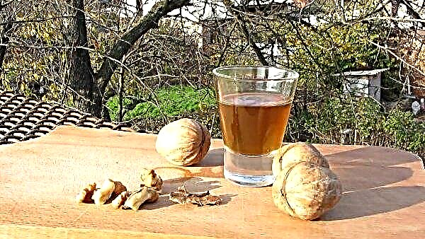 Het recept voor tinctuur op maneschijn op walnotenwanden: hoe en hoeveel te benadrukken, voordelen en nadelen