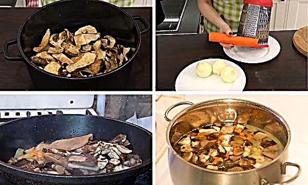 How much to cook dried porcini mushrooms for soaking soup