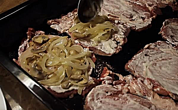 Varkensvlees met champignons in de oven: de beste recepten